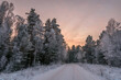 road snow forest frost sunset sky winter
