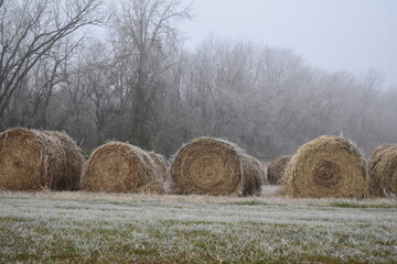 Canvas Print - foggy hay bales