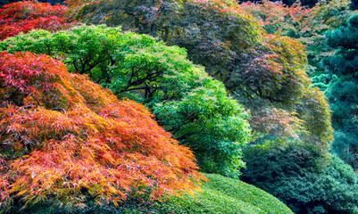 Autumn landscape