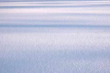 Poster - White fine snow surface texture background, winter background