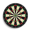 Realistic dart board isolated on white background.