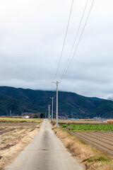 Wall Mural - 冬の山形村