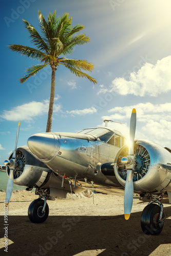 Fotografia historical aircraft against a palm tree