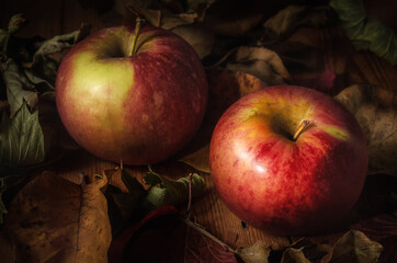 apples among dry foliage