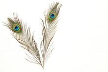 Peacock Feathers Isolated On White Background