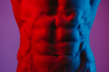 Wall Mural - A front photo of the abs of a bodybuilder under blue and red lights. An athletic guy is demonstrating his muscular torso.