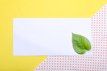 Wall Mural - Green leaf and empty white paper with a colored background