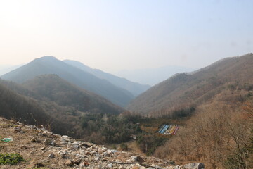 Wall Mural - view from the mountain