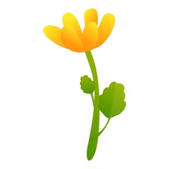 Poster - Celandine flower icon. Cartoon of celandine flower vector icon for web design isolated on white background