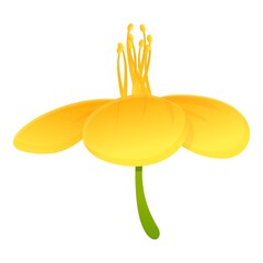 Poster - Celandine nature flower icon. Cartoon of celandine nature flower vector icon for web design isolated on white background