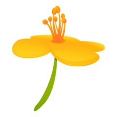 Poster - Celandine decorative flower icon. Cartoon of celandine decorative flower vector icon for web design isolated on white background