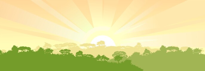 Wall Mural - deciduous forest. silhouette. mature, spreading trees. thick thickets. hills overgrown with plants. 
