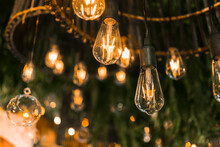 Beautiful Warm Incandescent Led String Light Used As Part Of Ceiling Decor At A Wedding Reception. Shallow Focus Area. Background Image.