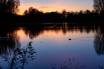 Dock swimming in lake during the blue hours during autumn season.