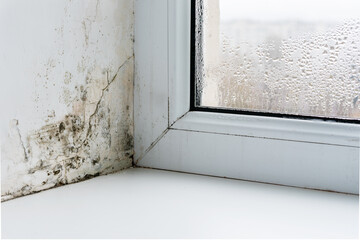 Mold in the corner of the plastic windows