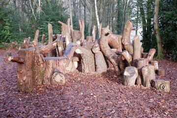 Wall Mural - Natural woodland play area made with sustainably felled oak tree trunks on Chorleywood Common, Hertfordshire, England, UK