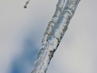 Wall Mural - icicles on a roof