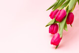 Fototapeta Tulipany - bouquet of bright fresh delicate pink tulips hanging on a pastel background with copy space, close-up. Minimalism for spring holidays