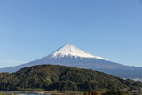 Fototapeta Sawanna - 静岡県富士川からの富士山