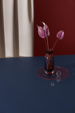 Pink Anthurium Flower In A Vase