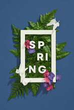 Floral Background, Text Frame Free Stock Photo - Public Domain Pictures