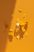Chrysanthemum Essential Oil In A Glass Bottle, Yellow Chrysanthemum Flower On Yellow Background. Spa, Beauty, Skincare And Cosmetology Concept.