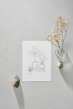Sketch Paper With Hand-drawn Tree Pots