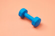 © Yaroslav Danylchenko/Stocksy - One blue sport dumbbell.