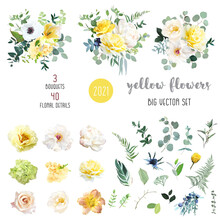 Yellow Rose, Hydrangea, White Peony, Lily, Anemone, Spring Garden Flowers