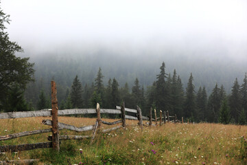 autumn meadow with a old wooden fence on a farm close up, in the Smoky Mountains on a foggy day. travel destination scenic, carpathian mountains