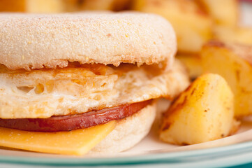 Wall Mural - breakfast egg sandwich