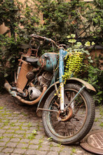 Shot Of An Old Rusty Motorcycle Surrounded By Flowers