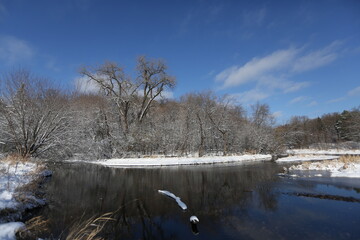 Wall Mural - river in winter