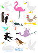 色々な鳥のイラストセット