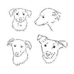 Sketch of funny dog. vector illustration. portrait of a dog vector sketch illustration