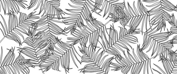 Luxury Black and White Palm leaves background vector. Tropical coconut and Jungle leaves summer wallpaper.