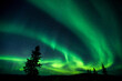 Shot of the aurora borealis, Dawson City, Yukon, Canada