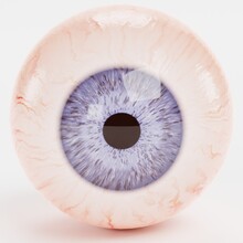 Realistic 3D Render Of Human Eye