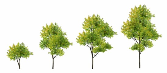 Collection of abstract watercolor green tree side view isolated on white background  for landscape and architecture layout drawing, elements for environment and garden