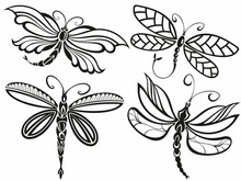 Vector Group Of Dragonfly Sketch On White Background