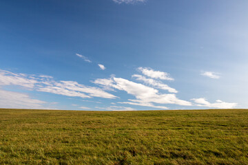 Wall Mural - field and blue sky