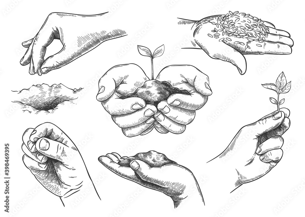 Hands with plant sprout. Farmer hand holding soil and planting seeds. Save nature, grow new trees. Agriculture and ecology sketch vector set - obrazy, fototapety, plakaty 