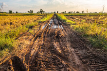 Muddy Rough Road In The Field