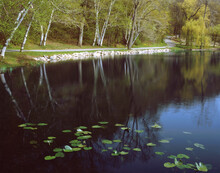 506-100 Hidden Lake Garden's Lake In Spring
