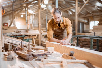 Wall Mural - Carpenter working with a wood in the workshop