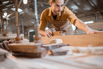 Wall Mural - Carpenter working with a wood in the workshop