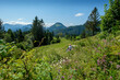 © Lisa Bahnm√ºller/Westend61 - Senior woman relaxing in alpine meadow during summer