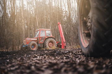 Wall Mural - Old red tractor in autumn forest. Forestry tractor or forestry tractor for harvesting wood in the forest.