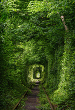 Love Tunnel, Railway Section In Forest Near Klevan, Ukraine. So Named Because, Some People Say, Before By This Way Girls From A Nearby Village And Soldiers From A Former Military Unit Went On A Dates.