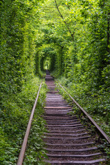 Love Tunnel, railway section in forest near Klevan, Ukraine. So named because, some people say, before by this way girls from a nearby village and soldiers from a former military unit went on a dates.